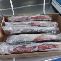 Calamar Congelado GG Foto 13