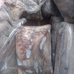 pulpo-cong-marr (4)